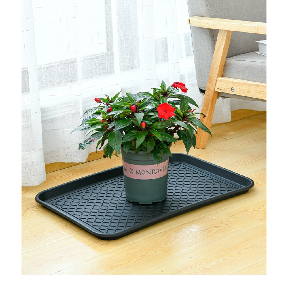 Food Storage Of Plants - Multifunctional Plastic Tray Versatile Shoe Tray