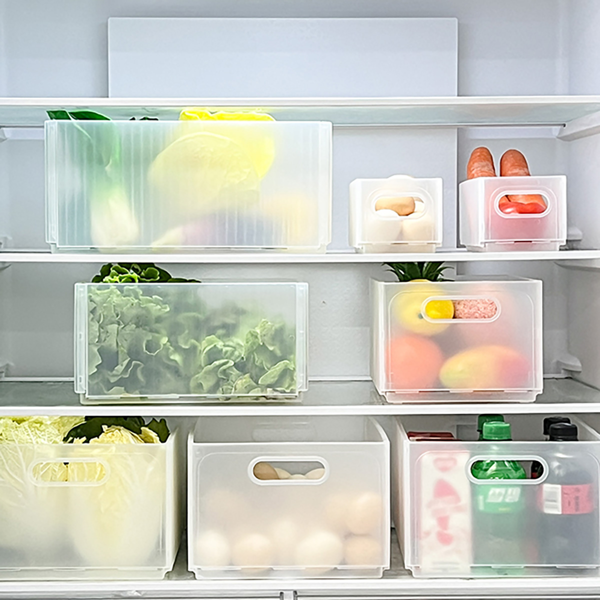 WORTHBUY Plastic Folding Fridg - đánh giá và giá Xxl Food Storage Container