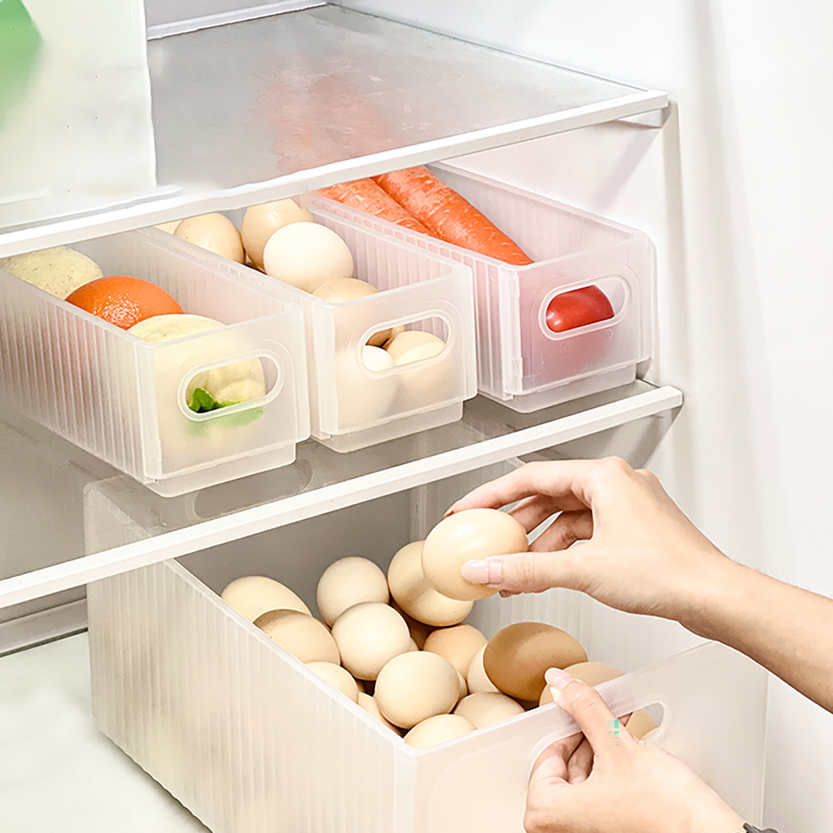 WORTHBUY Plastic Folding Fridg - đánh giá và giá Xxl Food Storage Container