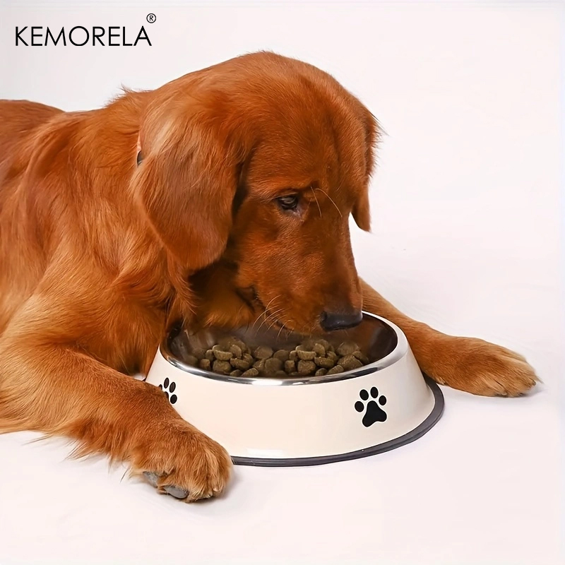 Stainless Steel Pet Dog Bowl F - đánh giá và giá Xxl Food Storage Container