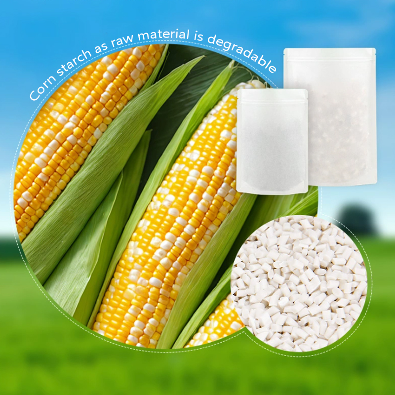 Customized Degradable Kraft Pa - đánh giá và giá Food Storage Of Plants