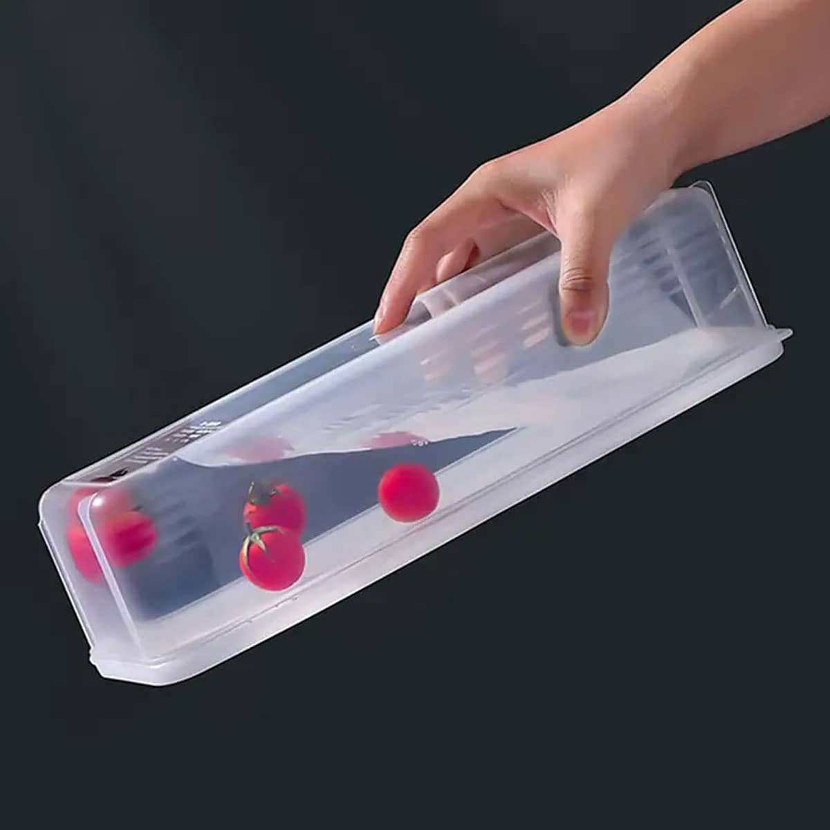 1 Plastic Transparent Storage  - đánh giá và giá Food Storage Boxes With Lids